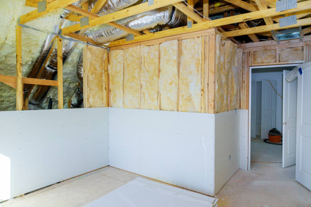 Best Eco-Friendly or Green Insulation Solutions  in Bellmead, TX